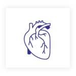 مركز القلب و الأوعية الدموية