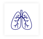 وحدة الجهاز التنفسي والحساسية